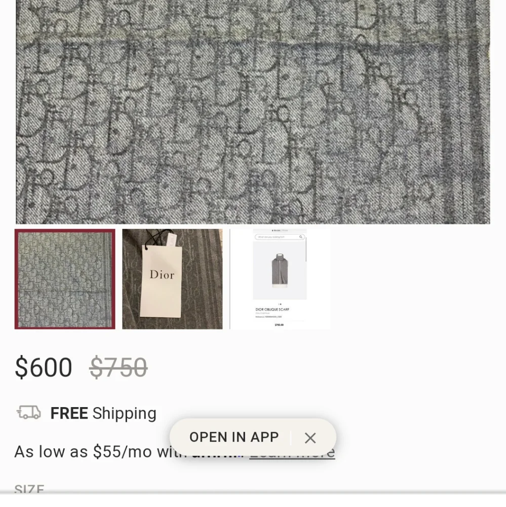 Dior oriental scarf gray